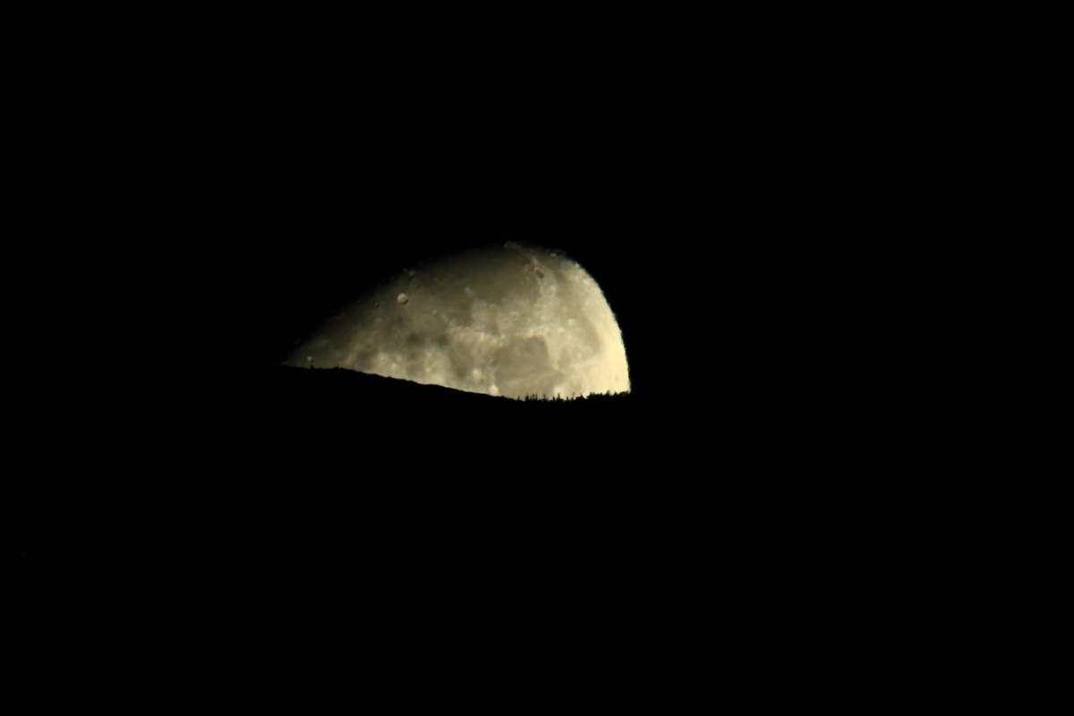 a0155104_030539.jpg