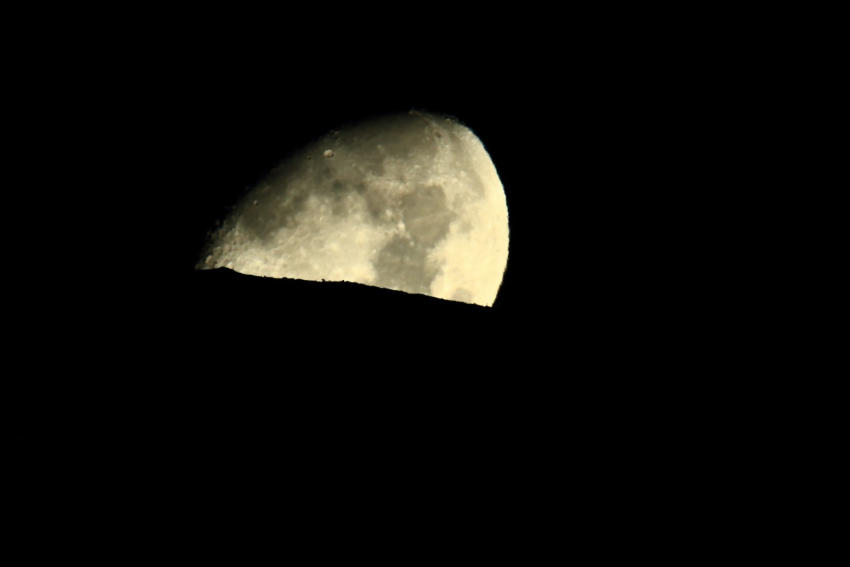 a0155104_0305652.jpg
