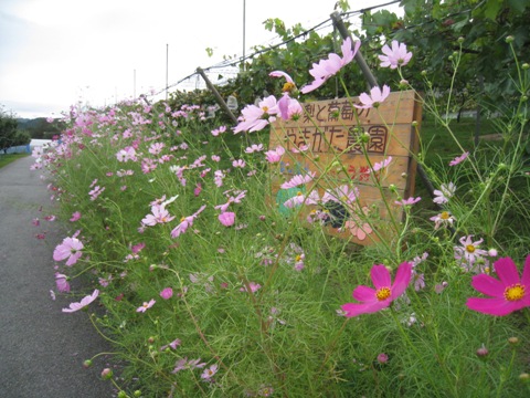 d0116205_1927332.jpg