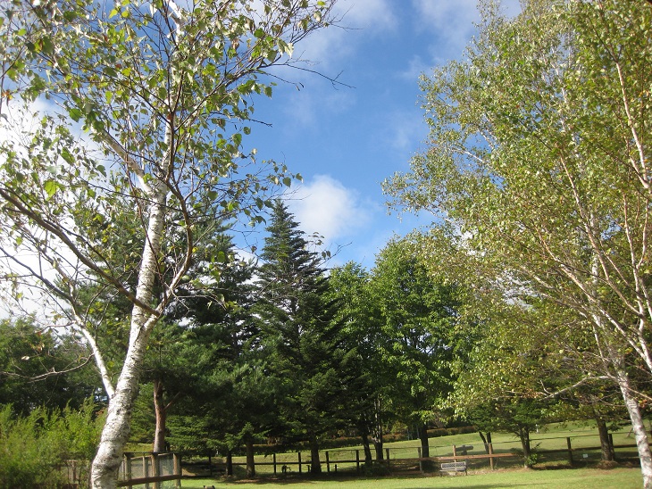 f0179209_1252249.jpg