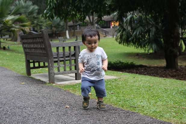 a0233910_563711.jpg
