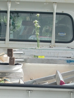 b0073616_13212115.jpg