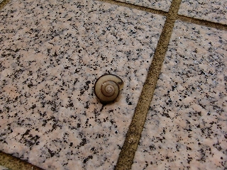 b0073616_13252515.jpg