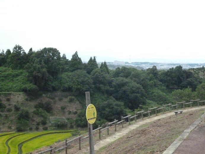 f0228619_23142721.jpg