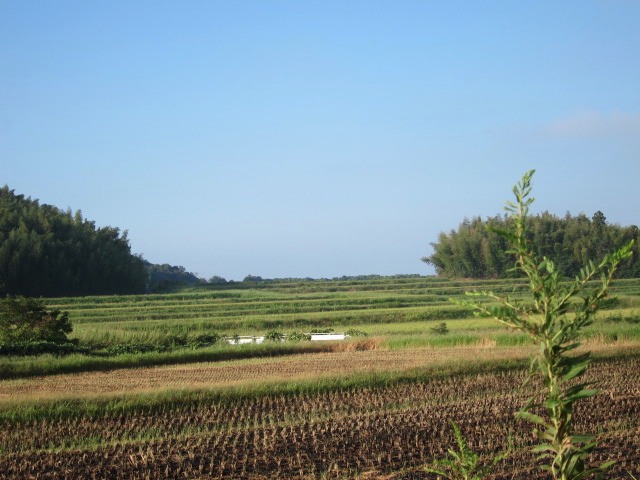 c0225420_14294766.jpg