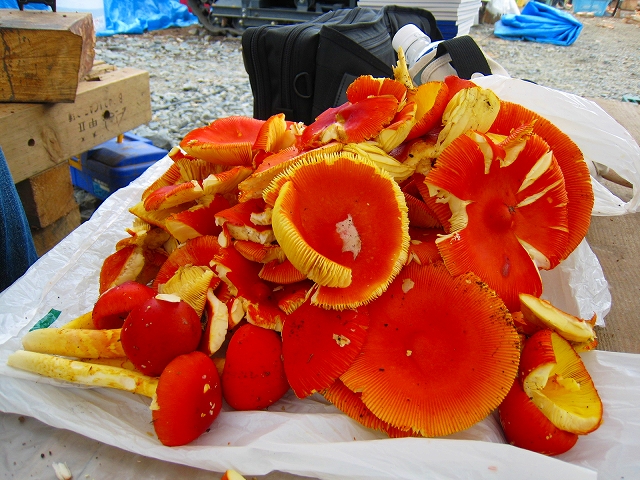 e0002820_2350554.jpg