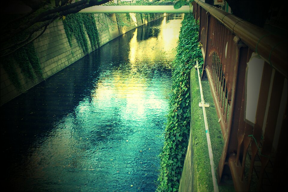 a0237224_23135890.jpg