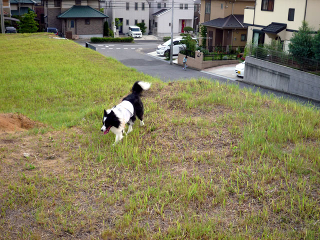 d0059230_9204854.jpg