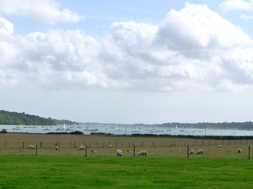 f0165831_615681.jpg