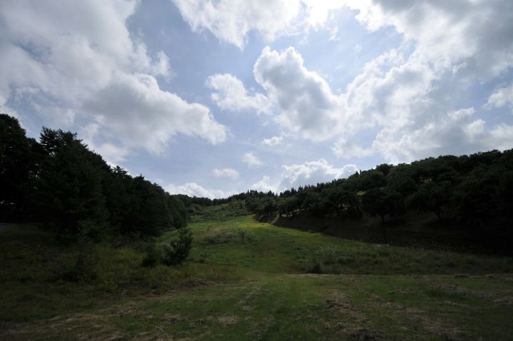 c0133133_1415128.jpg