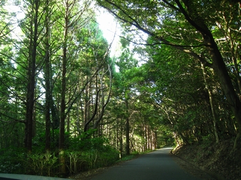 c0134734_23425052.jpg