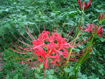 c0134734_2343253.jpg