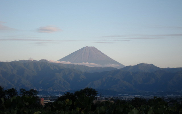 b0178339_13102077.jpg