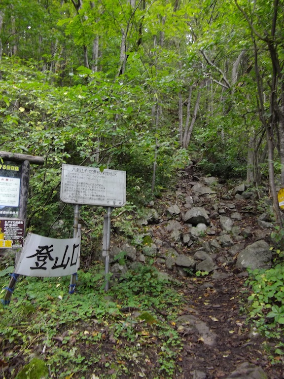 d0231339_1716528.jpg