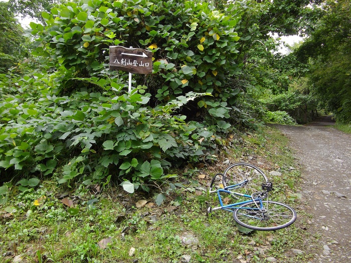 d0231339_1716798.jpg