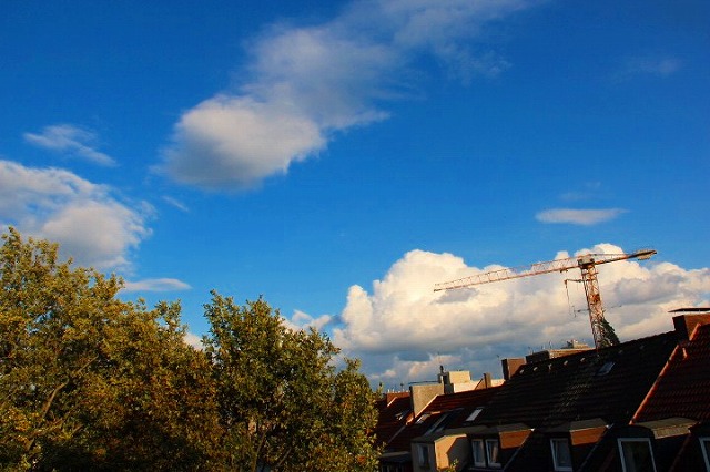 c0153740_342439.jpg