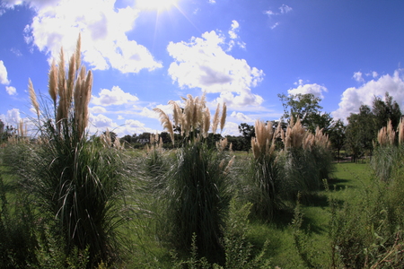 d0247340_18163917.jpg