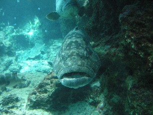 e0173743_21422929.jpg