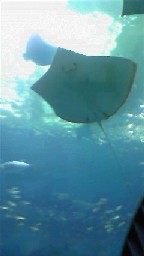 e0173743_21522823.jpg