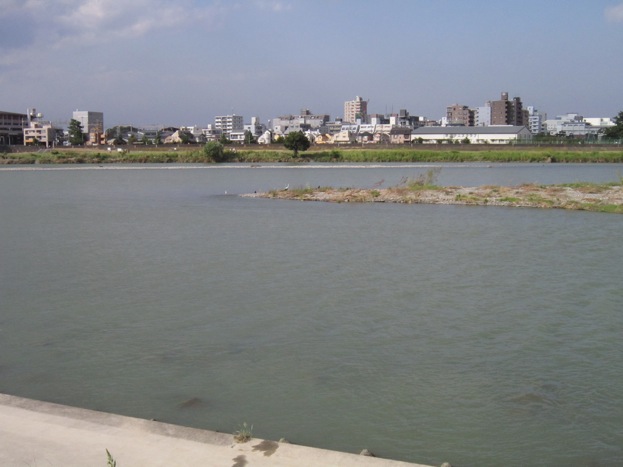 a0044046_22385072.jpg