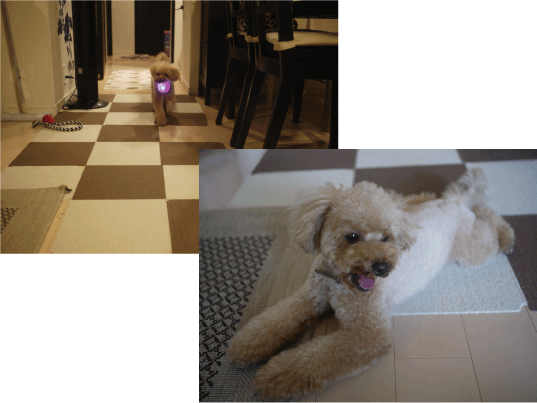 b0182846_943216.gif