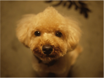b0182846_9463147.gif