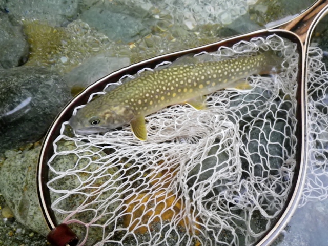 b0177355_1634179.jpg