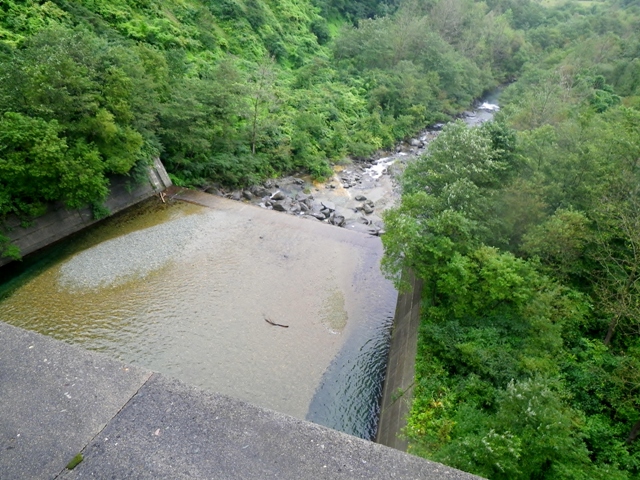 b0177355_1634880.jpg