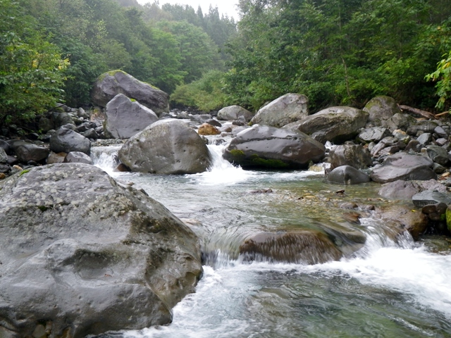 b0177355_1635362.jpg