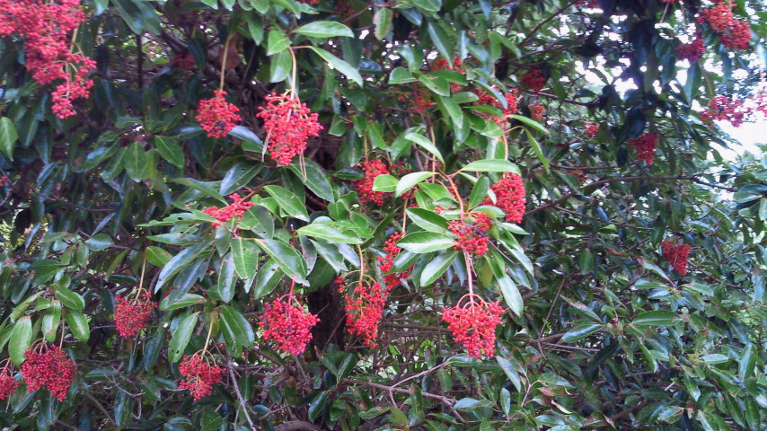 a0212656_8504767.jpg