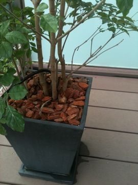 c0102268_15181657.jpg