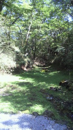 c0144868_0525531.jpg