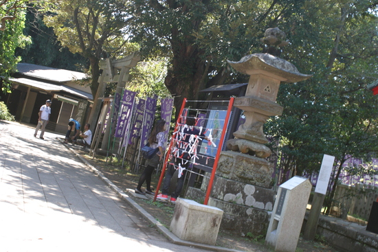 b0184969_15512.jpg