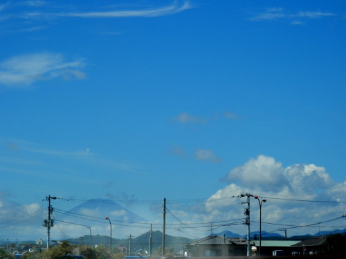 c0122670_2018378.jpg