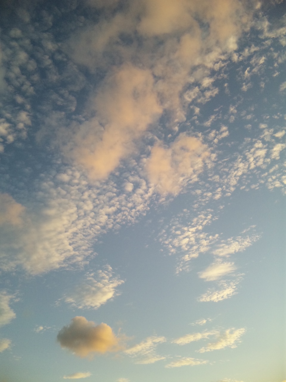 d0116870_11492622.jpg