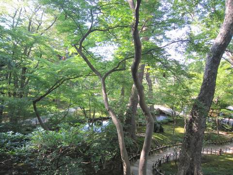 c0218879_181463.jpg