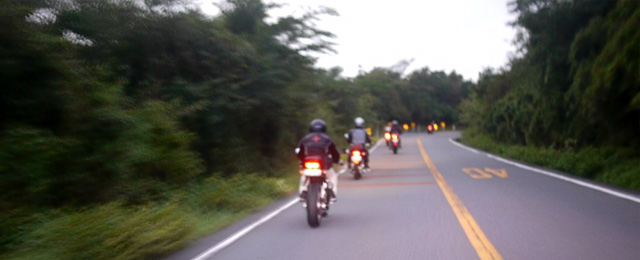 d0099181_2331344.jpg