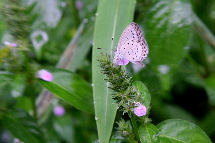 b0171185_227424.jpg