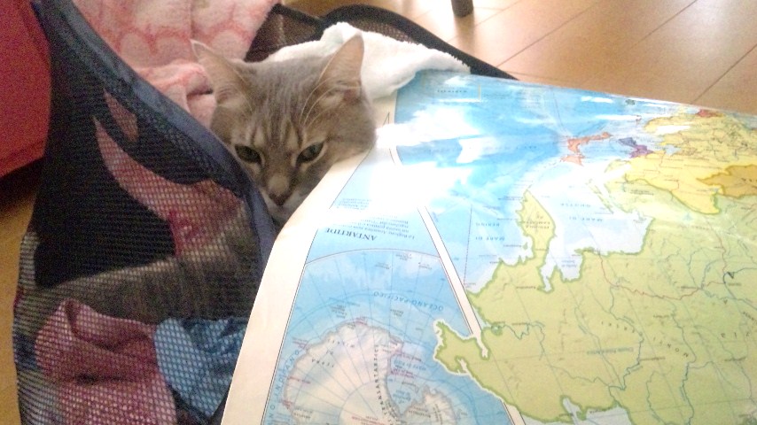 c0180885_15365284.jpg