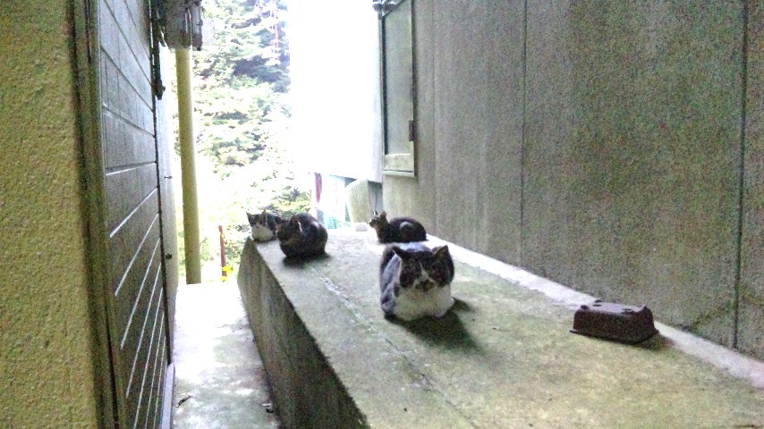 c0180885_15423654.jpg