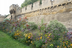 e0206490_1994070.jpg