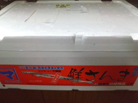b0199097_1433676.jpg