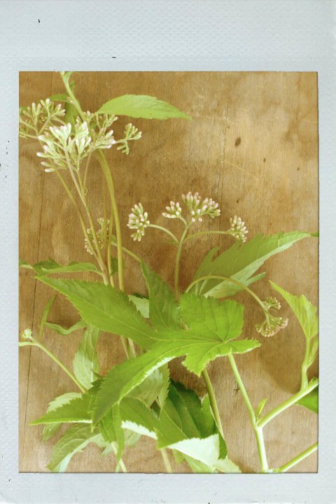 c0164401_23563538.jpg