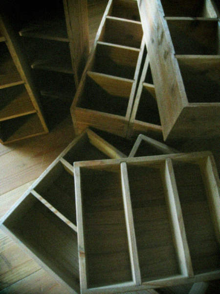 d0077603_1058240.jpg