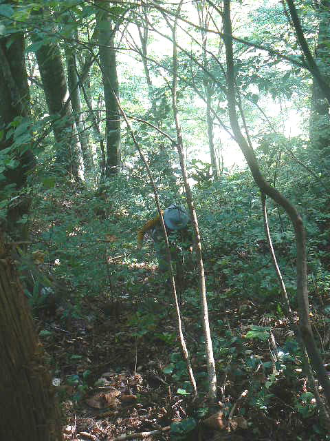f0164503_21232165.jpg