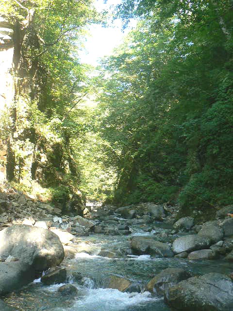 f0164503_21273360.jpg