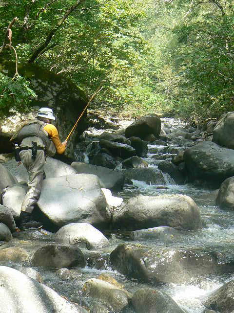 f0164503_21352348.jpg