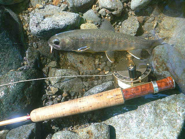 f0164503_21434320.jpg