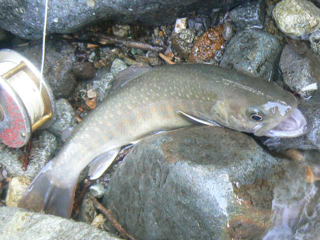 f0164503_22561742.jpg