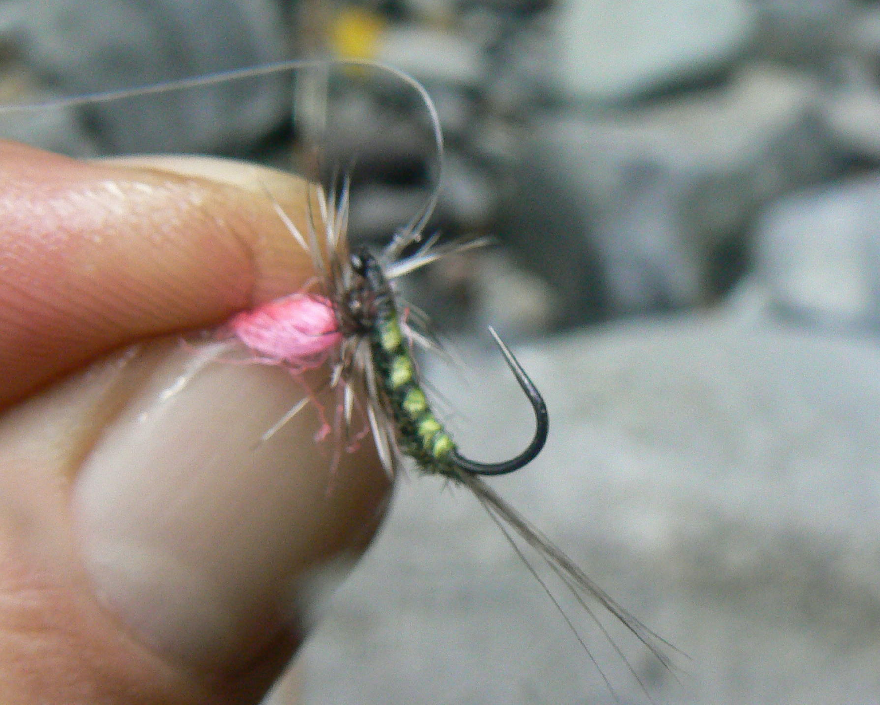 f0164503_228162.jpg